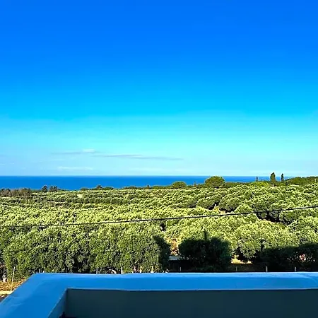 Hotel Orizontes View 3*